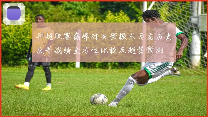 乒超联赛巅峰对决樊振东马龙历史交手战绩全方位比较及趋势预测