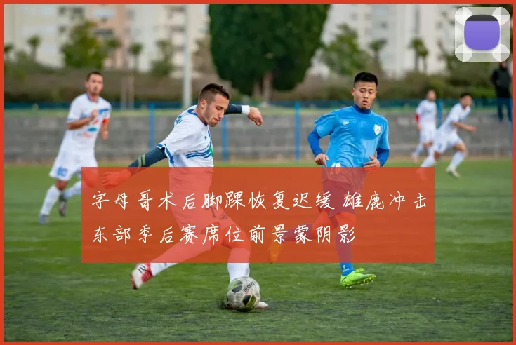 字母哥术后脚踝恢复迟缓 雄鹿冲击东部季后赛席位前景蒙阴影