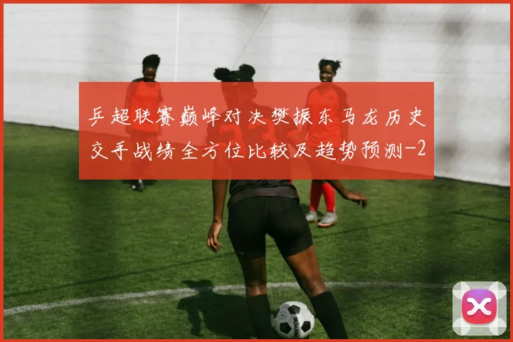 乒超联赛巅峰对决樊振东马龙历史交手战绩全方位比较及趋势预测