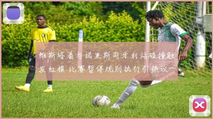 维斯塔潘与诺里斯匈牙利站碰撞触发红旗 比赛暂停规则执行引热议