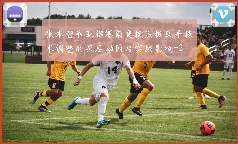 张本智和亚锦赛前更换底板反手技术调整的深层动因与实战影响
