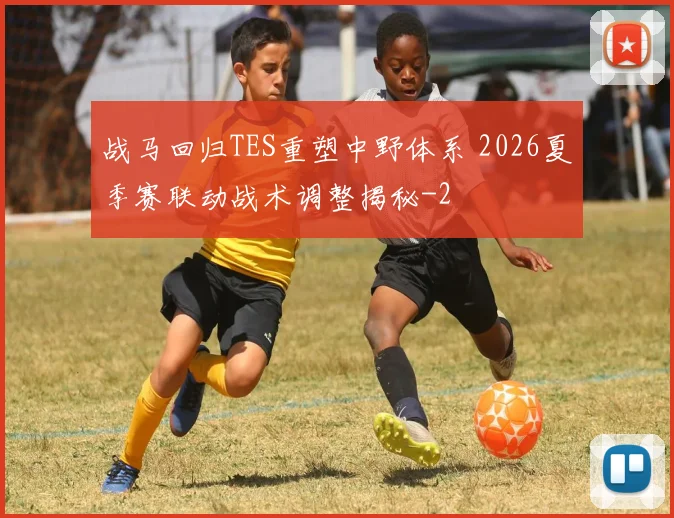 战马回归TES重塑中野体系 2026夏季赛联动战术调整揭秘
