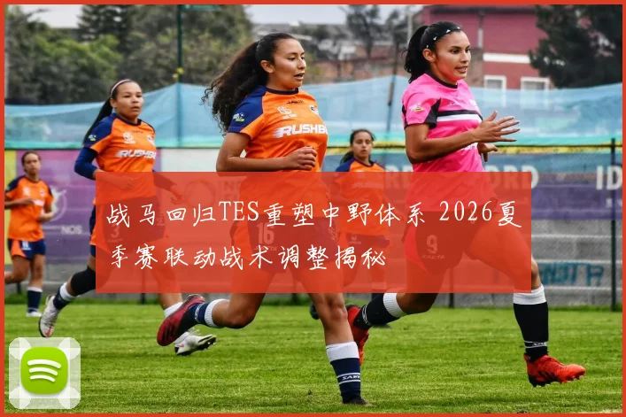 战马回归TES重塑中野体系 2026夏季赛联动战术调整揭秘
