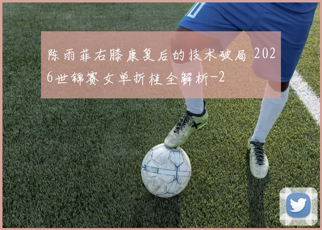 陈雨菲右膝康复后的技术破局 2026世锦赛女单折桂全解析